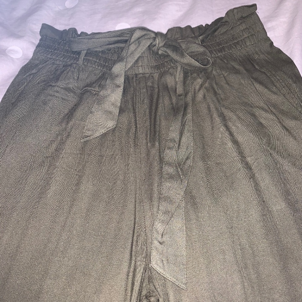Hollister Navy Green Pants